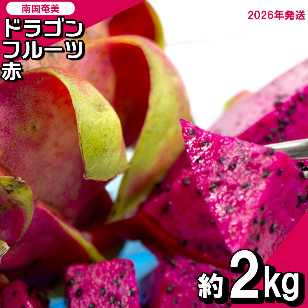 【ふるさと納税】南国奄美のドラゴンフルーツ赤 約2kg（4～8玉入り）【2026年発送】 鹿児島県 奄美群島 奄美大島 龍郷町 国産 奄美産 青果 果実 果物 くだもの フルーツ デザート ピタヤ 火龍果 南国 トロピカル お取り寄せ 先行予約 期間限定 数量限定