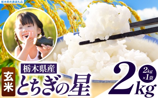 【先行予約】訳あり 令和8年度産 玄米 約2kg とちぎの星 | 真岡市産 米 お米 こめ 玄米 ご飯 ごはん とちぎの星 大粒 限定 ふるさと納税  栃木県 真岡市 送料無料