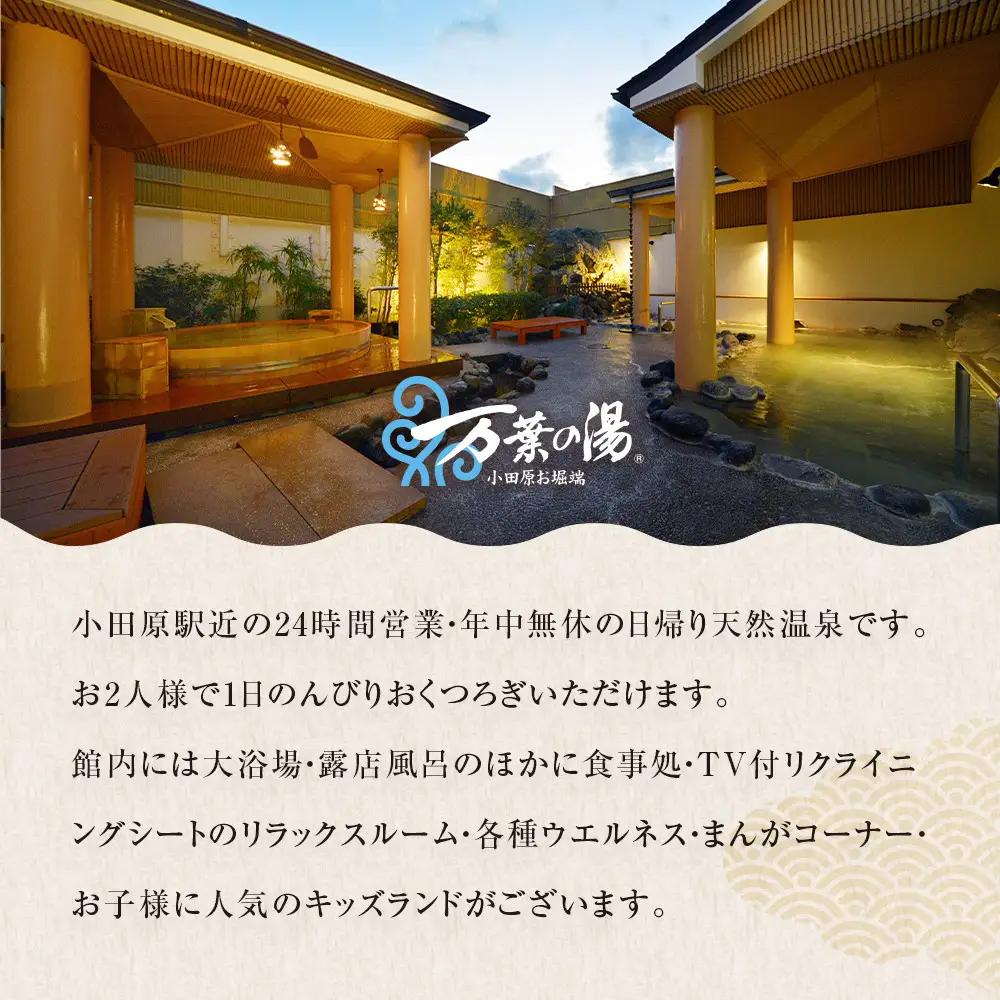 【1人でもペアでも利用可】小田原お堀端　万葉の湯ペア入館券【温泉 温泉 旅行】