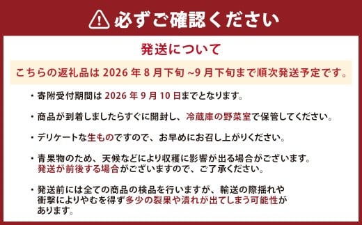 完熟 くまもと梨 3kg 【2026年8月下旬発送予定】 果物 フルーツ なし