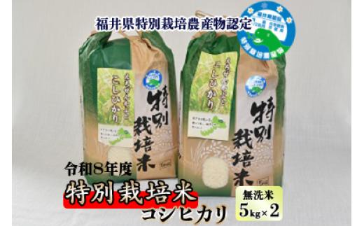 
                  【先行予約】令和8年産 新米 特別栽培米コシヒカリ 5kg ×2袋（無洗米） 【2026年9月29日より順次発送】 [B-005012]
                