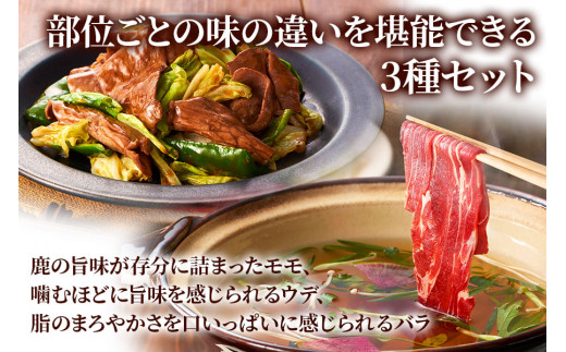 3つの部位が楽しめる「鹿肉スライスセット」(モモ300g×1パック、ウデ300g×1パック、バラ300g×1パック) いろんな料理に使いやすい！[0884]