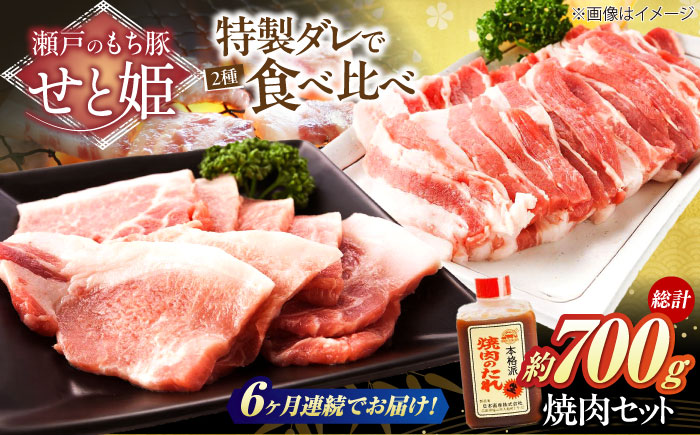 【全6回定期便】冷凍 肉「瀬戸のもち豚せと姫」焼肉セット計約700g  (バラ400g・ロース300g・自家製焼肉のタレ) 広島県福山市/日本畜産株式会社 肉 豚肉 焼肉 セット 豚バラ ロース タレ付き スライス 国産 お肉 [BAER051]