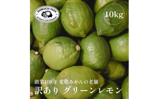 【先行受付】【防腐剤・ワックス不使用】愛媛県産【訳あり】グリーンレモン 10kg【F70-54】【1550697】 YWTK054
