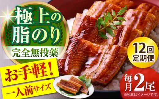 【12回定期便】高知県産 うなぎ蒲焼き 約90g×2尾 タレ付き 【株式会社 四国健商】 [ATAF148] うなぎ ウナギ 鰻 炭火焼 手焼き ひつまぶし 土用の丑の日