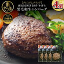 【ふるさと納税】【プレミアムブランド】鹿児島県産黒毛和牛「小田牛」 牛肉100％ ハンバーグステーキ 4個（120g×4） 牛肉 総菜 レトルト 黒毛和牛 和牛日本一 小田畜産 冷凍 ギフト 贈答 南さつま市 送料無料