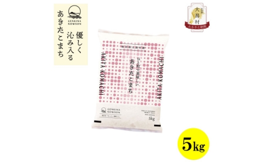 ＜毎月定期便＞秋田県産あきたこまち白米5kg(5kg×1)全12回【4072891】