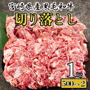 【ふるさと納税】黒毛和牛 切り落とし 500g×2 計1kg [アグリ産業匠泰 宮崎県 美郷町 31be0023] 小分け 牛肉 切落し モモ バラ 牛丼 肉じゃが しぐれ煮 煮込み 炒め 焼肉 普段使い 調理 おかず 料理 国産 送料無料 パック 牛 すき煮 肉豆腐 甘辛煮 ハヤシライス すき焼き