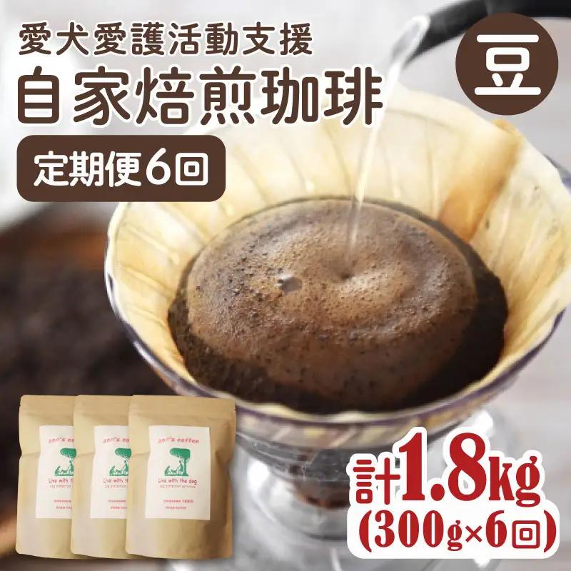 コーヒー豆 【定期便6か月】ann's cafe 100g×3種 コーヒー豆