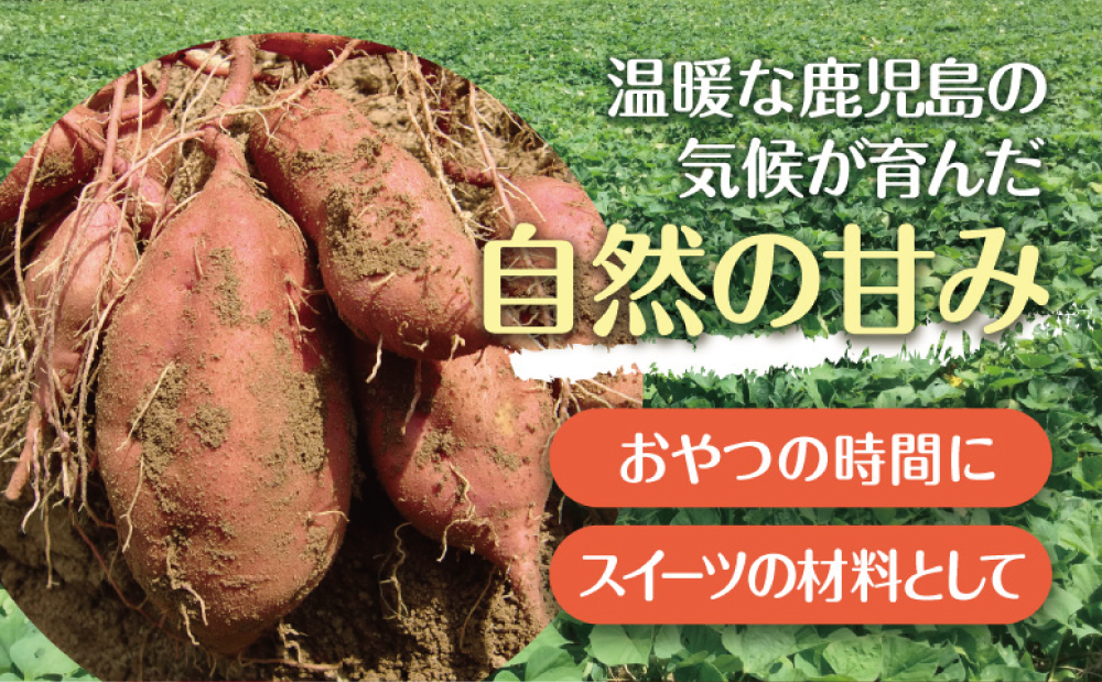 【鹿児島県産】紅はるか 冷凍やきいも 2.5kg（500ｇ×5）