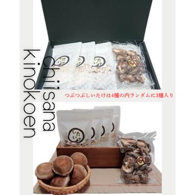 ふるさと納税 愛西市 乾燥椎茸&つぶつぶ乾燥しいたけ3種 【ちいさなキノコ園】 国産 |  | 01