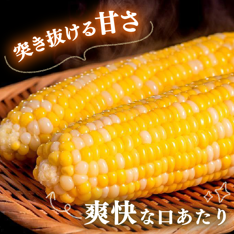 【2027年先行予約】南国フルーツコーン バイカラー種 約4kg(8～11本) | とうもろこし トウモロコシ コーン スイートコーン フルーツとうもろこし もぎたて 新鮮 朝採れ 朝どり 夏野菜 旬