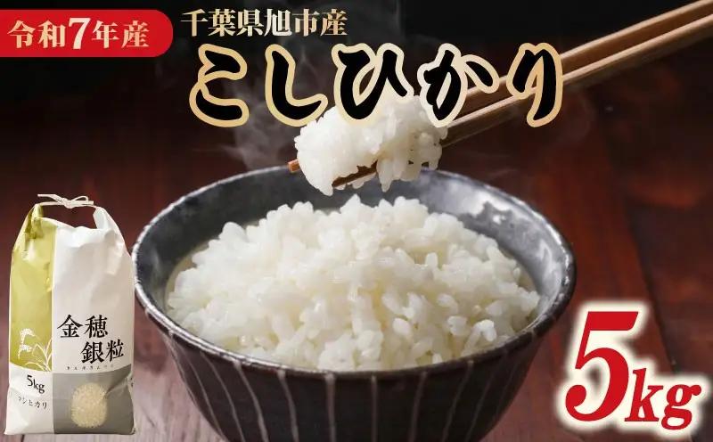 コシヒカリ 精米 5kg 【 コシヒカリ 】