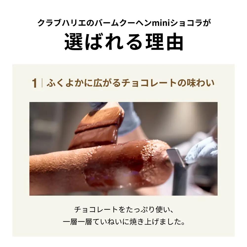 バームクーヘンminiショコラ 6個入 シェアボックス クラブハリエ八日市の杜 滋賀県 東近江市 A-A18 バウムクーヘン チョコレート 個包装 スイーツ