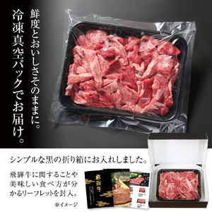 訳あり 飛騨牛 焼肉 切り落とし 600g 冷凍真空パック | 肉 お肉 切落し 不揃い 焼肉 焼き肉 やきにく 黒毛和牛 和牛 人気 おすすめ 牛肉 ギフト お取り寄せ 7日以内お届け[S842]