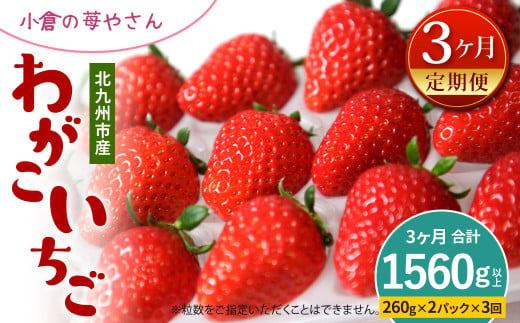 【定期便3回（2025年1･2･3月発送）】小倉の苺やさん「わがこいちご」 260g×2パック×3回 合計1560g以上 福岡県 いちご イチゴ 果物 旬 新鮮 朝摘み 完熟 フルーツ 冷蔵 国産 北九州市産