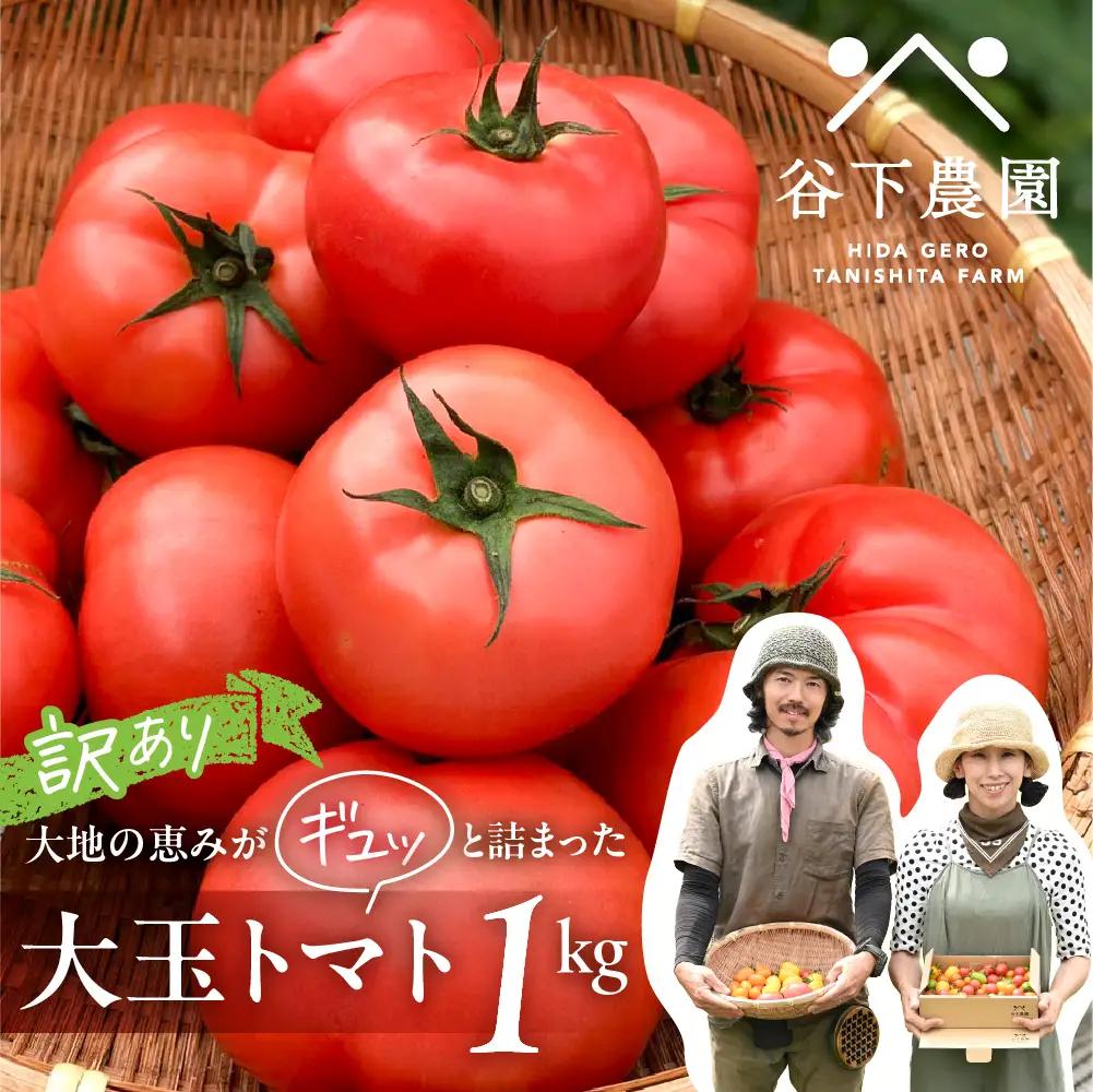 訳アリ 大玉トマト 麗月 1kg≪谷下農園 有機JAS認証農園の完熟トマト≫ トマト 【61-17】