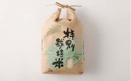 【7分】 夢つくし （特別栽培米） 約10kg 福岡県産 令和7年産 新米 米 こめ コメ