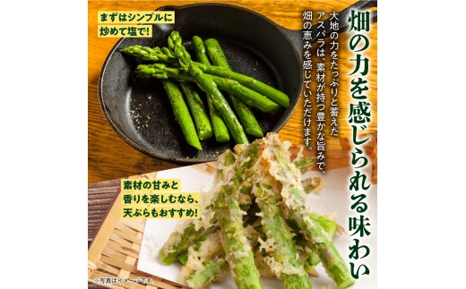 【先行予約】北海道産 アスパラ 900g【5月発送】｜ふるさと納税 野菜 アスパラガス 北海道 石狩市 