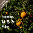 【ふるさと納税】2月頃発送予定 西田農園 はるみ 約5kg 30個程度 広島県 大崎上島町 瀬戸内 離島 国産 柑橘 ミカン みかん 濃厚 甘い 送料無料 産地直送