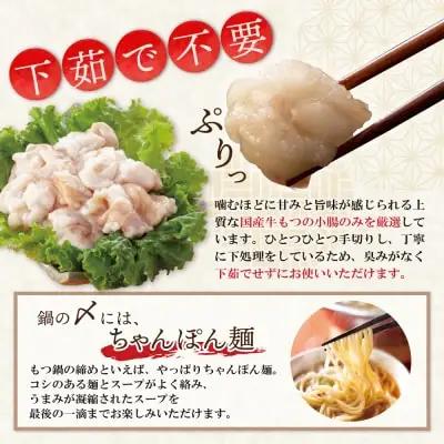 Y71-02 博多もつ鍋(醤油味)3人前 もつ鍋