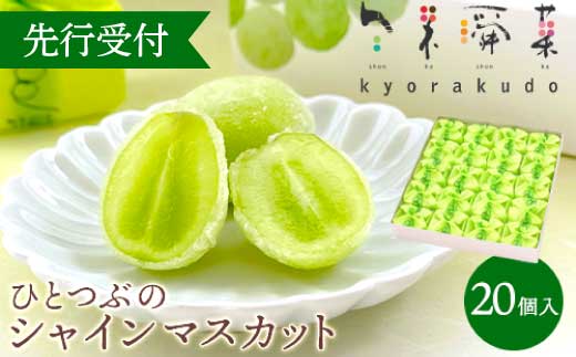 ＜先行受付＞ひとつぶの シャインマスカット 選べる個数 20個入 好評にて夏の定番商品化決定！共楽堂 シャインマスカット もぎたて 夏季限定 晴王 求肥 スイーツ 和菓子 018013