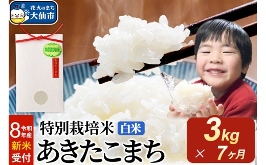 ＜令和8年産 新米受付＞《定期便7ヶ月》米 特別栽培米 あきたこまち【白米】3kg×1袋 [先行予約 新米 米 お米 こめ 白米 精米 特別栽培米 あきたこまち ブランド米 秋田県産]