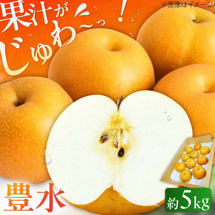 【ふるさと納税】【★先行予約★ 2026年8月下旬より発送】梨(豊水) 約5kg　広川町 / JAふくおか八女農産物直売所どろや[AFAB023]