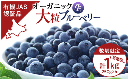 ブルーベリー 数量限定 大粒 有機 無農薬 冷蔵 オーガニック 250g 4パック 1kg 千歳市産 【ベリーファーム】