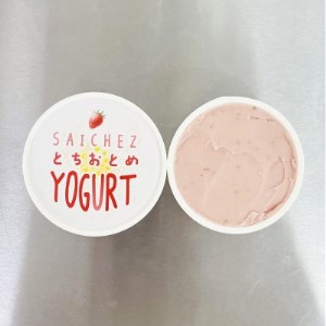 フローズンヨーグルト〈定番3種類・ビターアダルトコーヒー3・とちおとめ2〉アイス　シャーベット【配送不可地域：離島】【1402444】