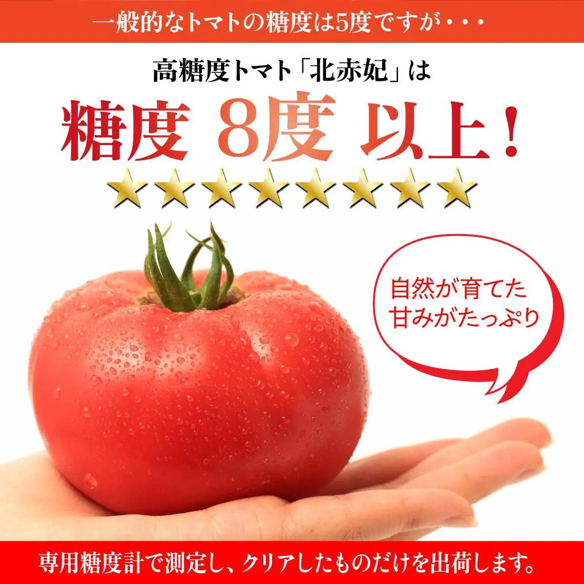 【2026年 発送 】 先行予約 北海道 伊達市 高糖度 トマト 北赤妃 きせき 約1kg  1箱 Mサイズ とまと 新鮮 ジューシー 産地直送