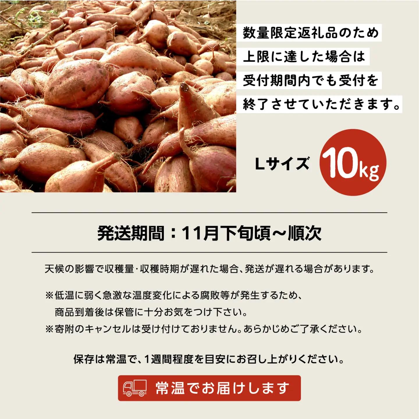 種子島 安納いも 10kg（Lサイズ：300g～400g）（秀さん農園）さつまいも 本場 安納芋 安納紅 安納こがね さつま芋 甘い ねっとり スイーツ おやつ グルメ お取り寄せ 人気 種子島産 返