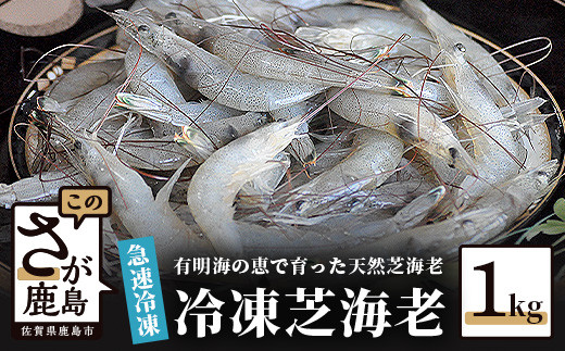 冷凍芝海老 1kg (500g×2) | えび 冷凍 海老 エビ 冷凍エビ 芝えび 真えび 国産 魚介類 海鮮 水産 新鮮 リピーター 満足 絶品 高レビュー 高評価 人気 おすすめ 送料無料 佐賀県 鹿島市 AA-9