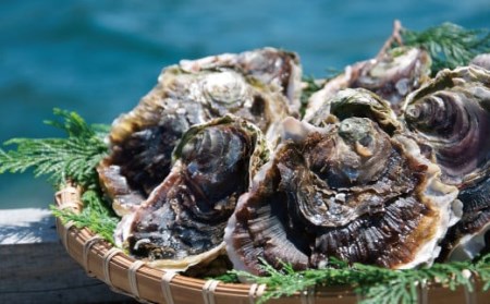牡蠣 【産地直送】大粒 3kg 冷凍 牡蠣 かき A163