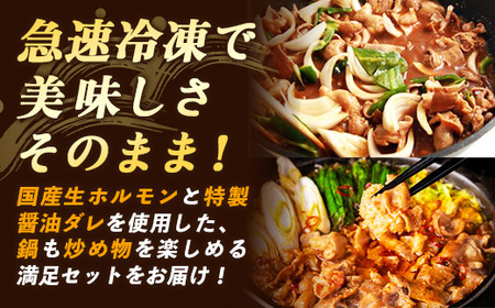 岩手のとうちゃんかあちゃんの店 岩手ホルモン鍋＆ホルモン焼セット 豚肉 簡単 鍋  黒みそ