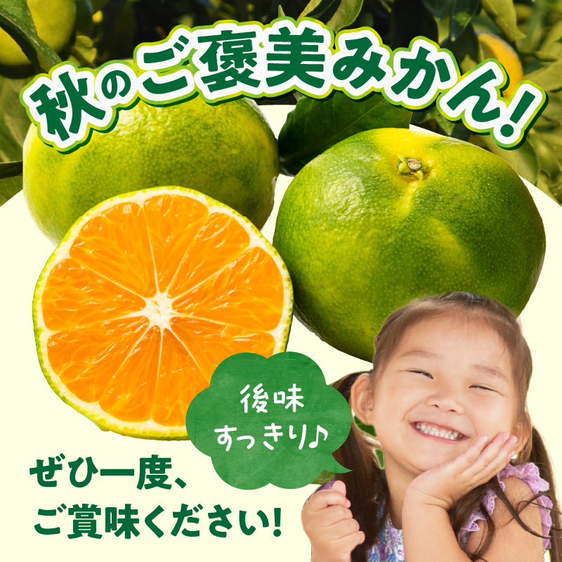 ZT6403_有田みかん　極早生　秀品　約5Kg