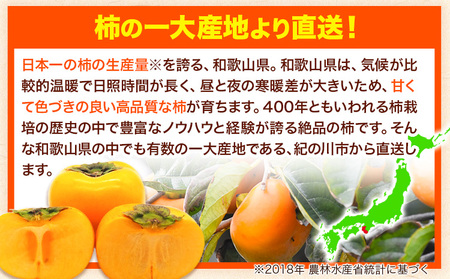 柿 カキ かき たねなし柿(刀根早生柿・平核無柿)約 2kg(6～9玉前後)《2024年9月下旬-10月下旬頃より順次出荷》 和歌山県 紀の川市 種なし柿 産地直送 柿 果物 フルーツ 2L～Mサイズ