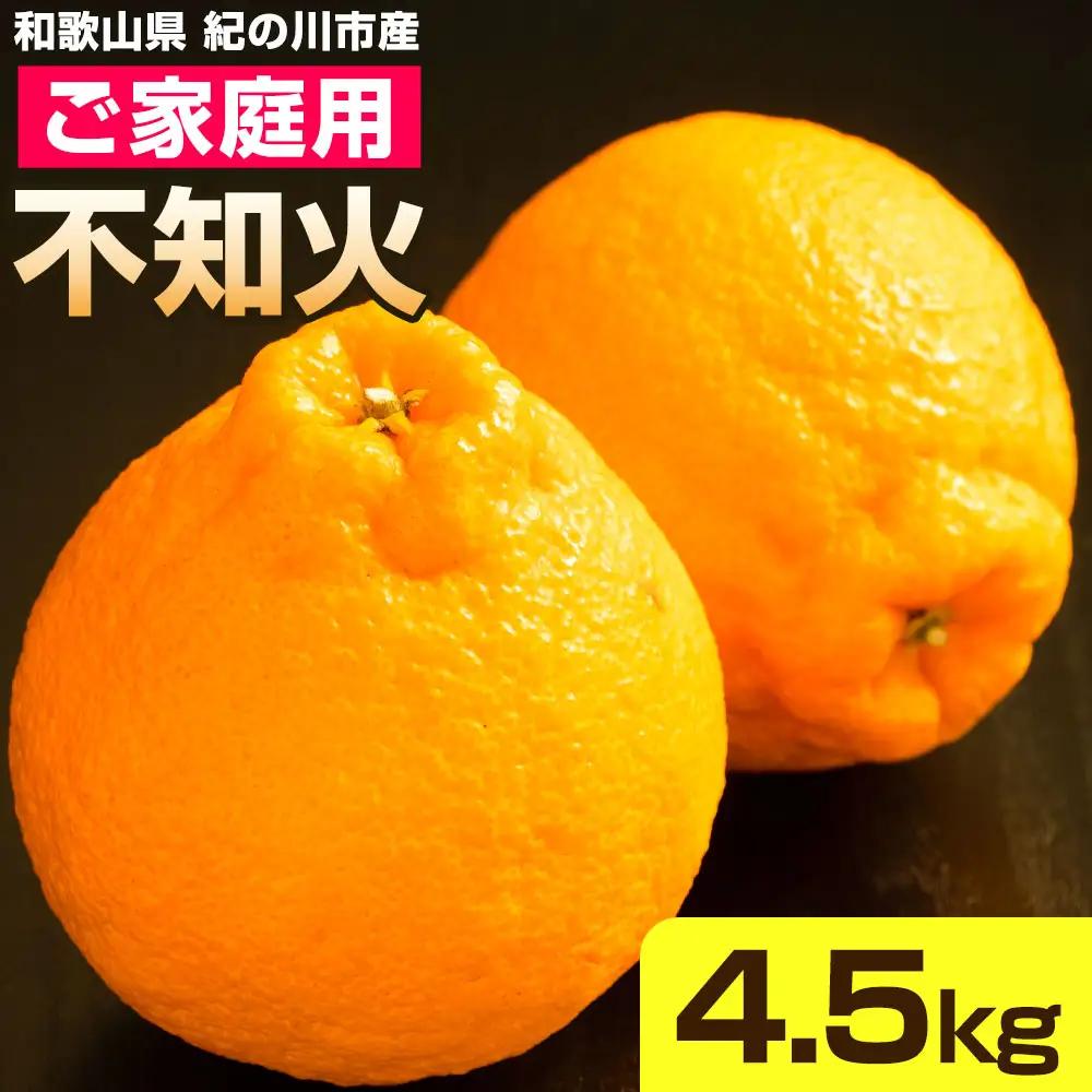 ご家庭用 不知火 約4.5kg 