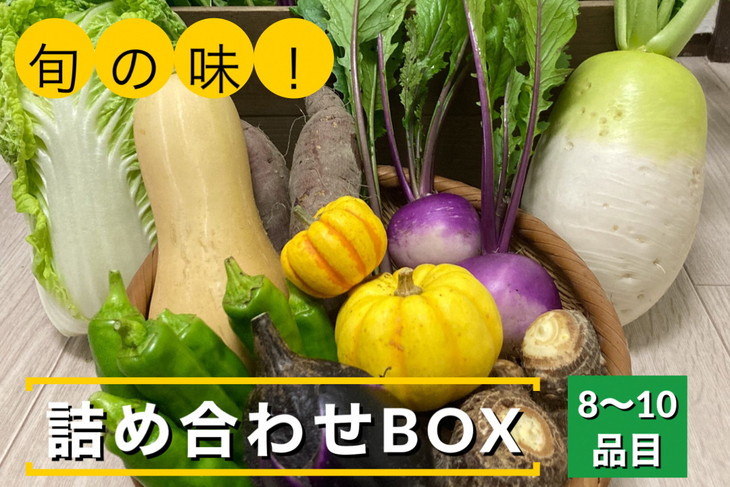 
【6回定期便】旬の味！お野菜 詰め合わせBOX 8～10品目×6回（栽培期間中 農薬・化学肥料不使用）
【めぐる農園】京都 亀岡 京野菜 農家より直送
