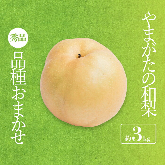 【ふるさと納税】【2025年8月〜9月発送分先行受付】「秀品」山形県産 和梨（品種おまかせ）約3kg_H175(R7)