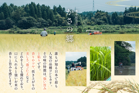 米 令和7年 石川県産 コシヒカリ 10kg 1袋