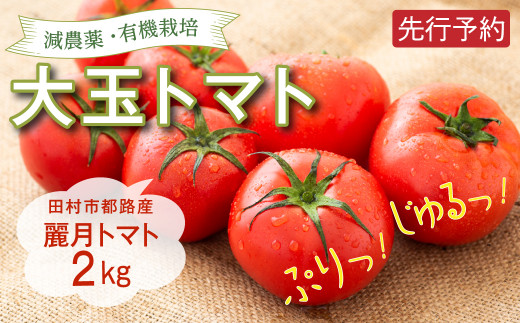 【 8月上旬～順次発送】大玉トマト 2kg トマト 野菜 減農薬 有機栽培 麗月 農家直送 新鮮 2キロ れいげつ とまと おすすめ おいしい 福島県 田村市 自然農園リリバリ