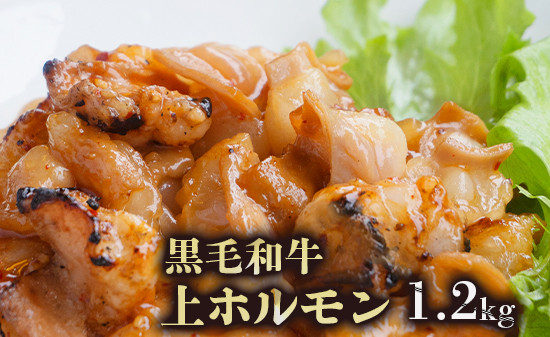 
                  黒毛和牛 ホルモン 1.2kg 旨辛タレ漬け 焼肉用 国産牛 味付けホルモン 焼き肉 BBQ 冷凍
                