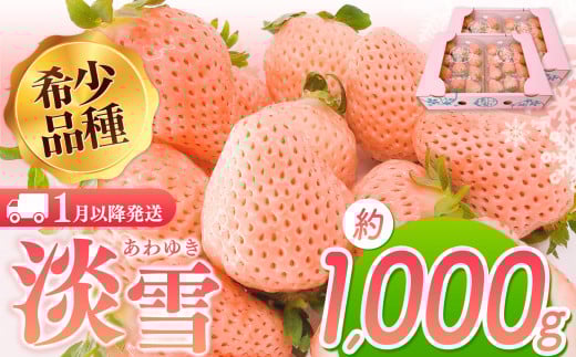 淡雪 約1000g ｜ フルーツ 果物 苺 イチゴ いちご 淡雪 希少品種 熊本 玉名