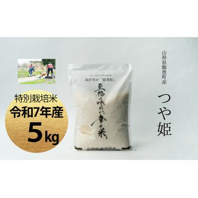 ふるさと納税 飯豊町 【令和7年産】至福の味わい、幸せ米。「つや姫」精米 5kg