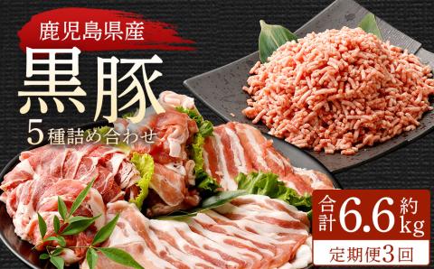 FS-309 【3ヶ月定期便】鹿児島県産黒豚 5種詰合せ(約2.2kg×3回)