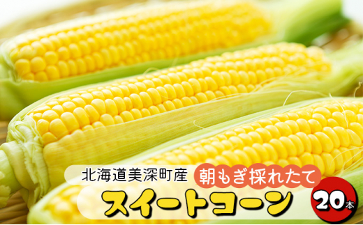 
[№5894-0587]【2024年発送】とうもろこし 20本 スイートコーン 北海道 美深町産 とうきび 野菜 果物
