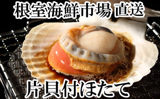 A-28124【年内配送可】  ＼漁業者応援品／根室海鮮市場＜直送＞片貝ほたて10枚×2P