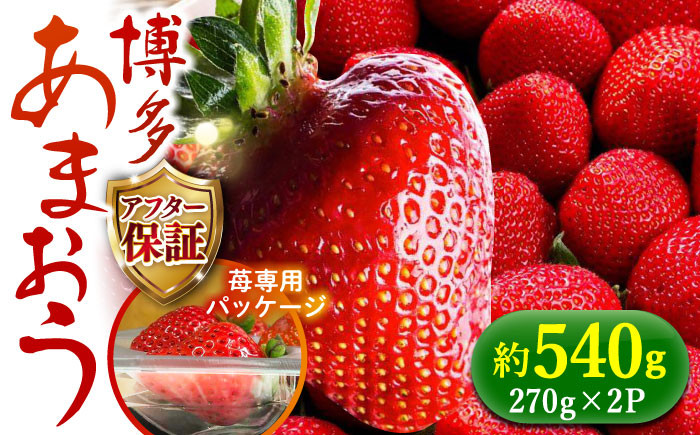 
            【1月上旬り順次発送】農家直送 朝採り新鮮いちご【博多あまおう】約270g×2パック《築上町》【株式会社H&Futures】 [ABDG001] 11000円
          