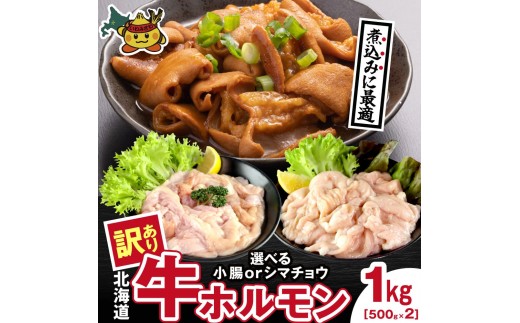 牛ホルモン (味付け無し／小腸) 1kg (500g×2パック)【a163-044】お肉 牛肉 牛もつ 煮込み